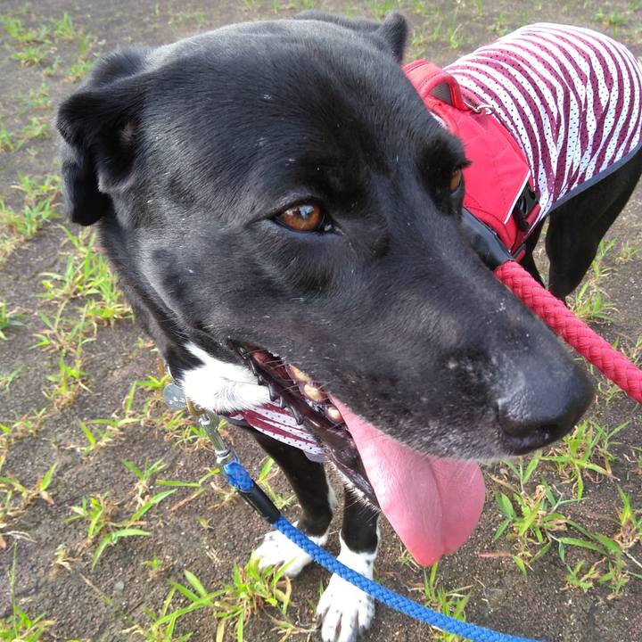 5f7e6159 35b5 4595 84af 79353d8606be 1596931307710