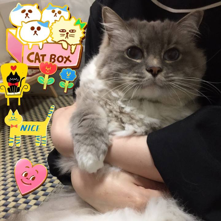 5f7e793a 3d16 4191 abdb 006e2e056ceb 1513117228565