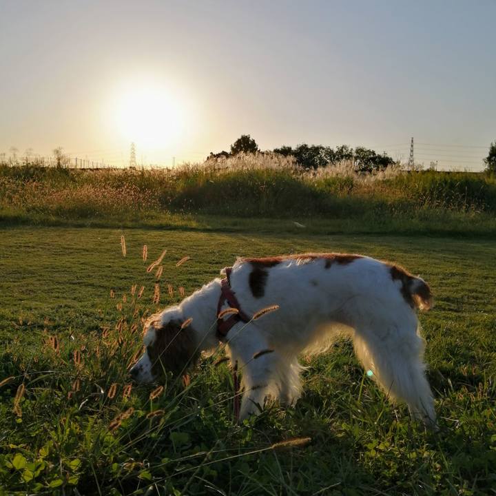 5f7eb02c c83a 4fc8 baf3 47edd3b16a9d 1633260647027