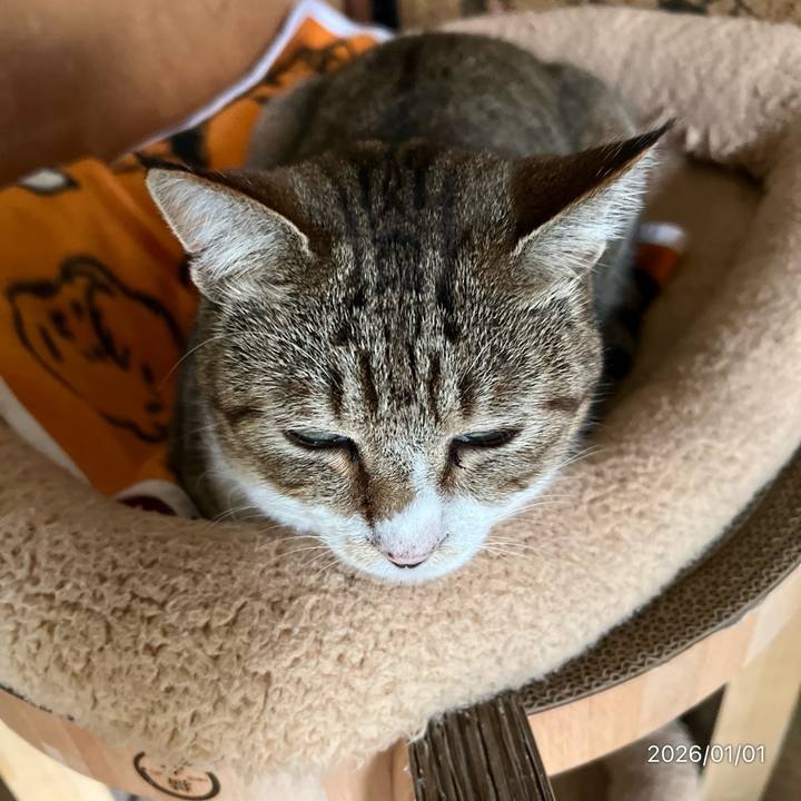 5f7eb4b9 8c67 4af0 b39e a11343ada65a 1767224374669