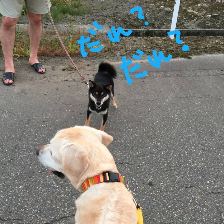 5f7f5e61 4555 4291 91c1 4d924cb50d47 1532281662555