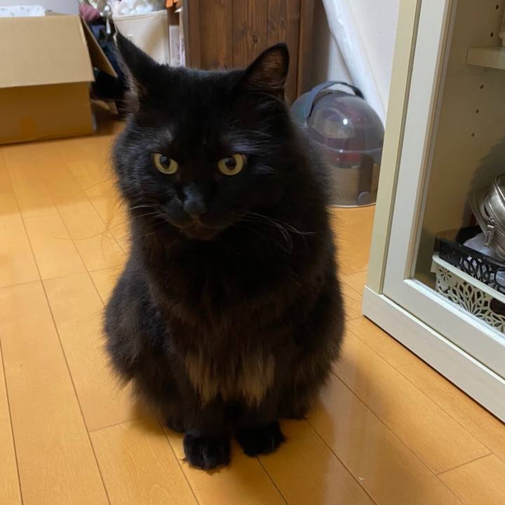 5f7f9051 5000 450d 9fef 2b4a39af7800 1598377936267