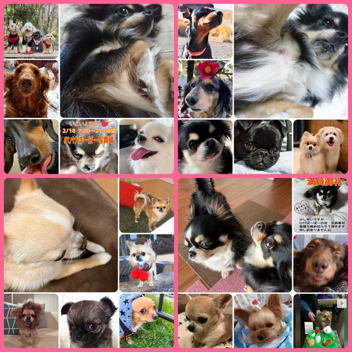 5f7f9754 aaea 41a3 9acc ced5ccd43a91 1676758616498