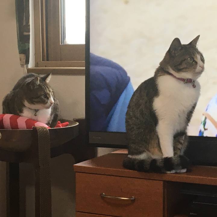 5f7fa221 1305 40ae bd2d 97397ab0cb07 1667002220736