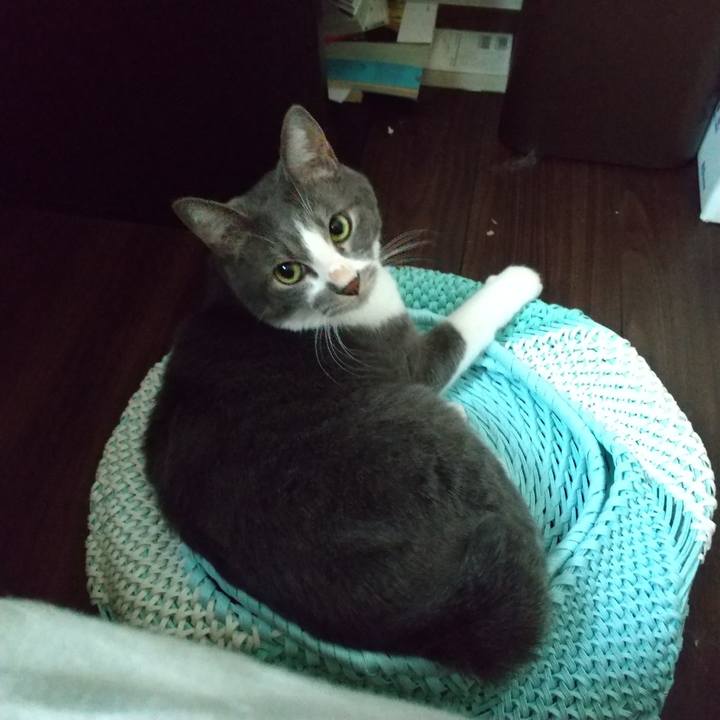 5f7fa401 78b4 48fa 83af 9de8bbe07b1d 1634599858126