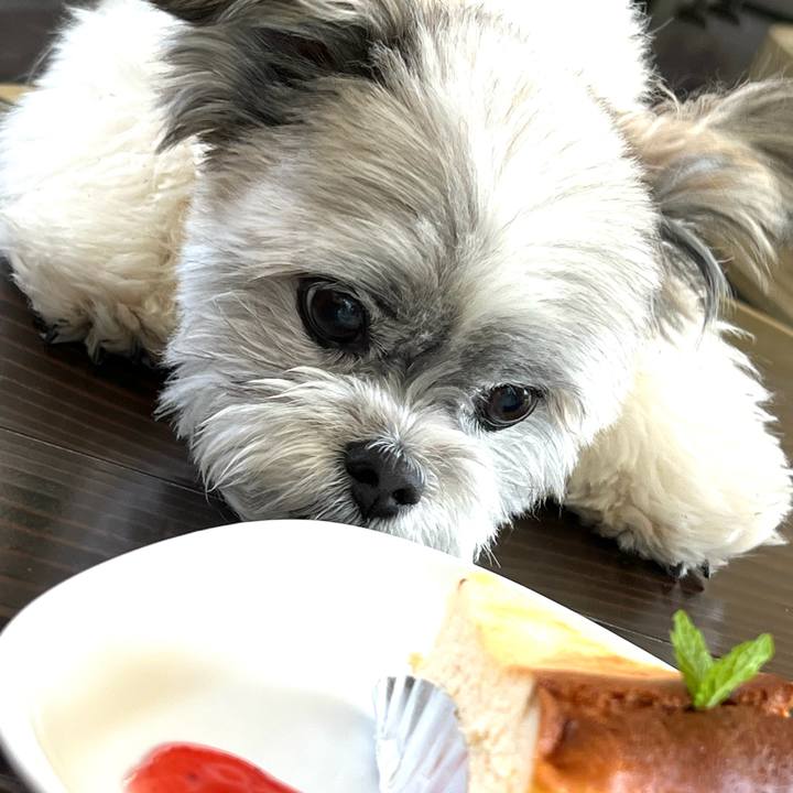 5f7fa46c 05fc 4a0e b349 bcd80a222c91 1718503025012