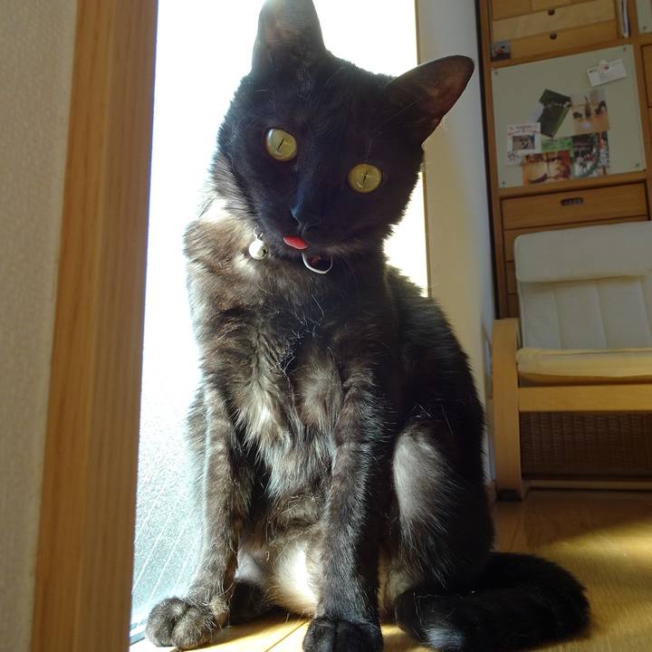 5f7fdcd7 bd21 41b6 aaeb ad22edb193e6 1529132491942