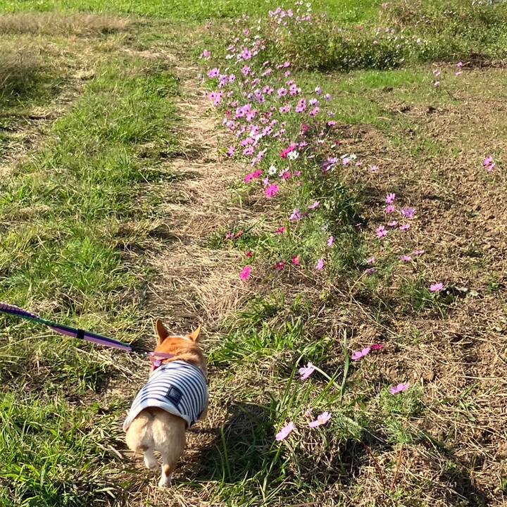 5f7fef5d afcd 4785 8ce9 12207452e79b 1762584192481