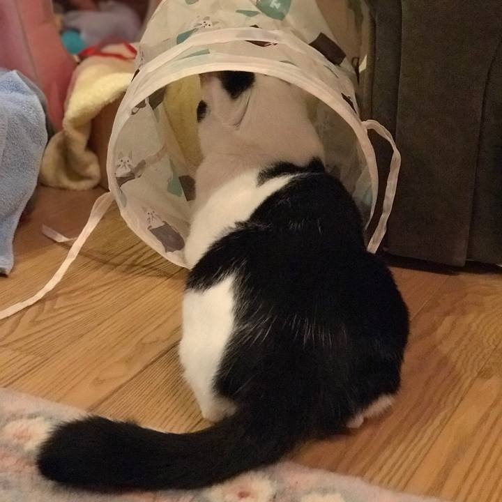 5f8020af 0462 44f8 bb16 6310537d8a1c 1557906634414