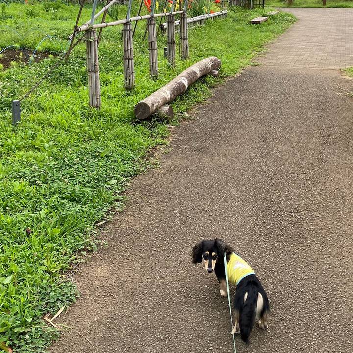 5f802cf1 6e5d 4181 9ee9 2faa34c86fc0 1688868862241