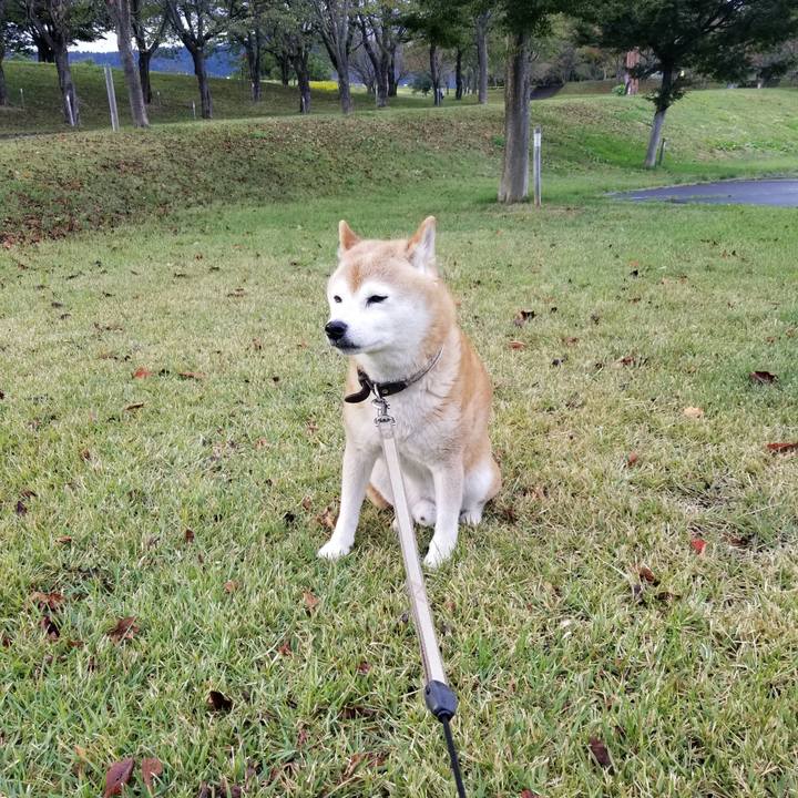 5f8043e6 85b1 4daf ac1f 4dc3cbe25770 1696660896194