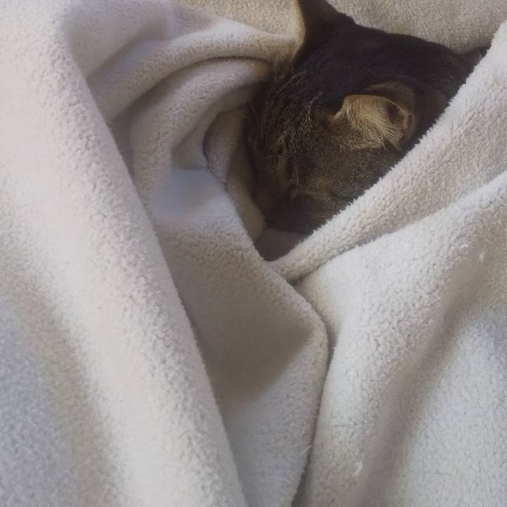 5f804823 d200 4ab6 b86e c351f0b474a7 1731971224444