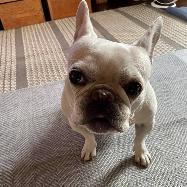 5f804d0c 0245 49b4 af99 1335fc9bfc22 1752060556009