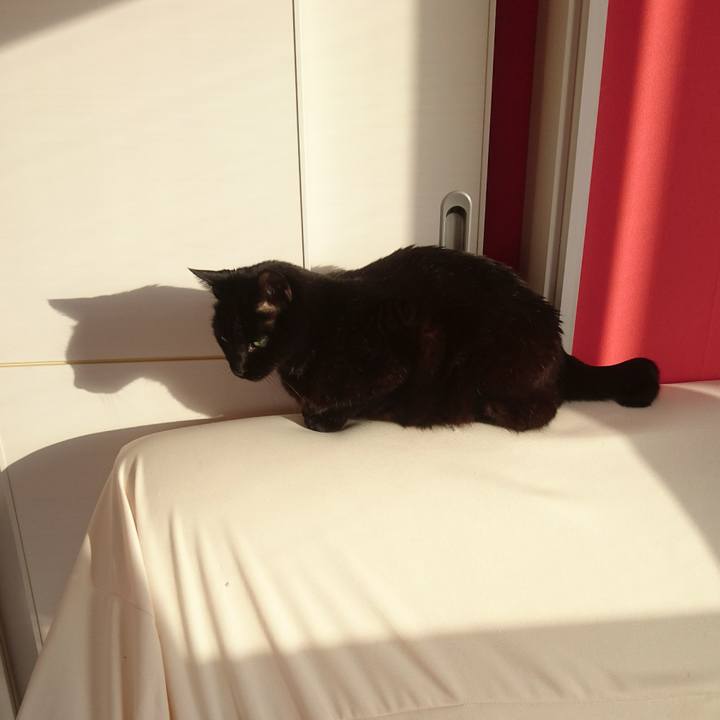 5f8074ab 101a 45e0 9958 53272a6552df 1517143756378