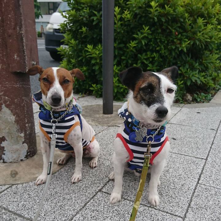 5f8097a4 cb69 4f89 849a 5775bc14cdfb 1560980945260