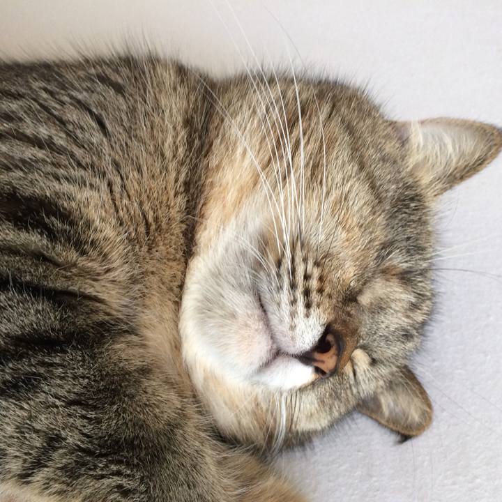 5f80aefb 3a3c 4935 b9d5 f59294ebf0bb 1543446137046