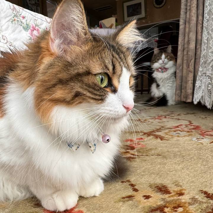 5f80c93f b39d 41be b59a 25782746637f 1762407126911