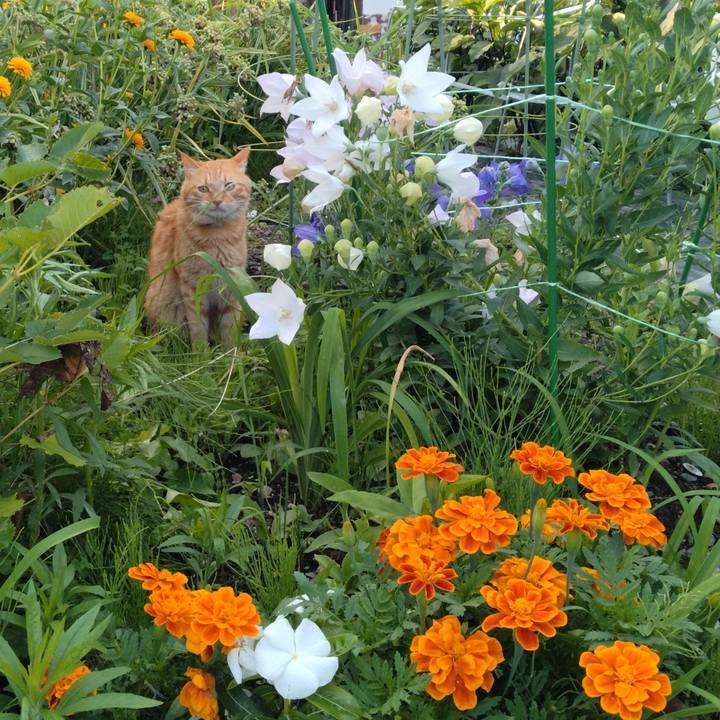 5f80dd4c a711 4042 a319 ad0a816a4af3 1720693134123