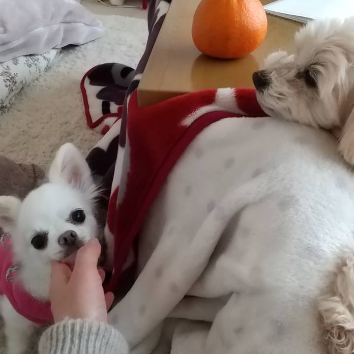 5f80fbd6 ec1a 48bc 9d1a dd7990138f71 1583565111182