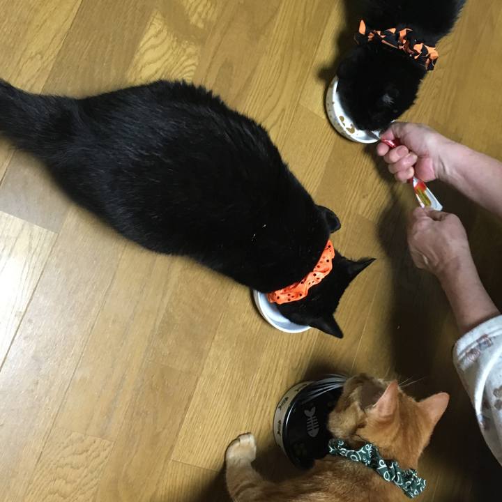 5f8121a6 16cb 4f30 a462 065243c412cd 1538228178244