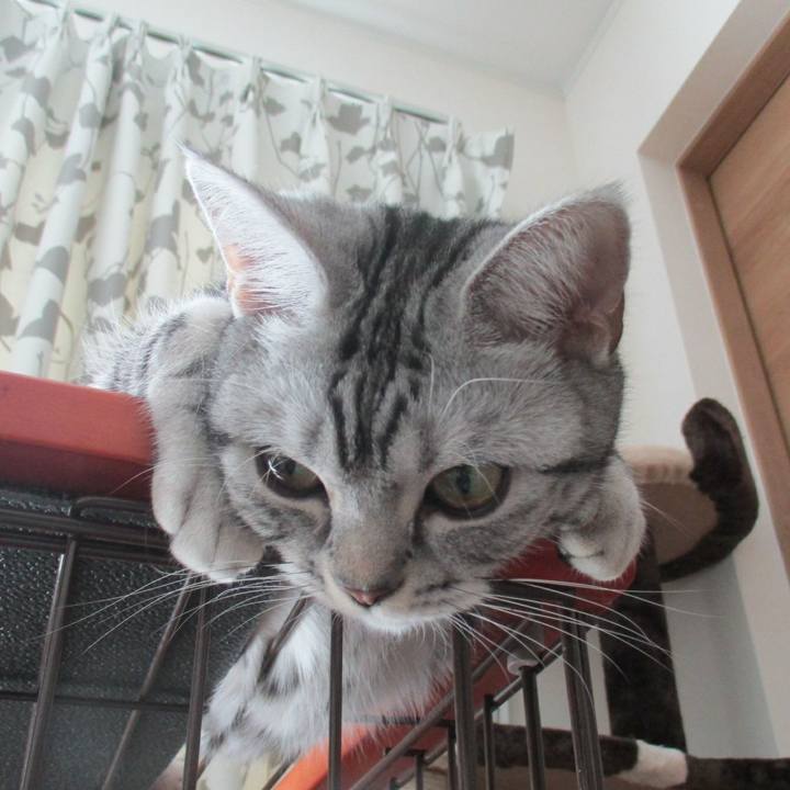 5f81634b bb2e 4c9b a220 c9af9d3a9b50 1554517893884