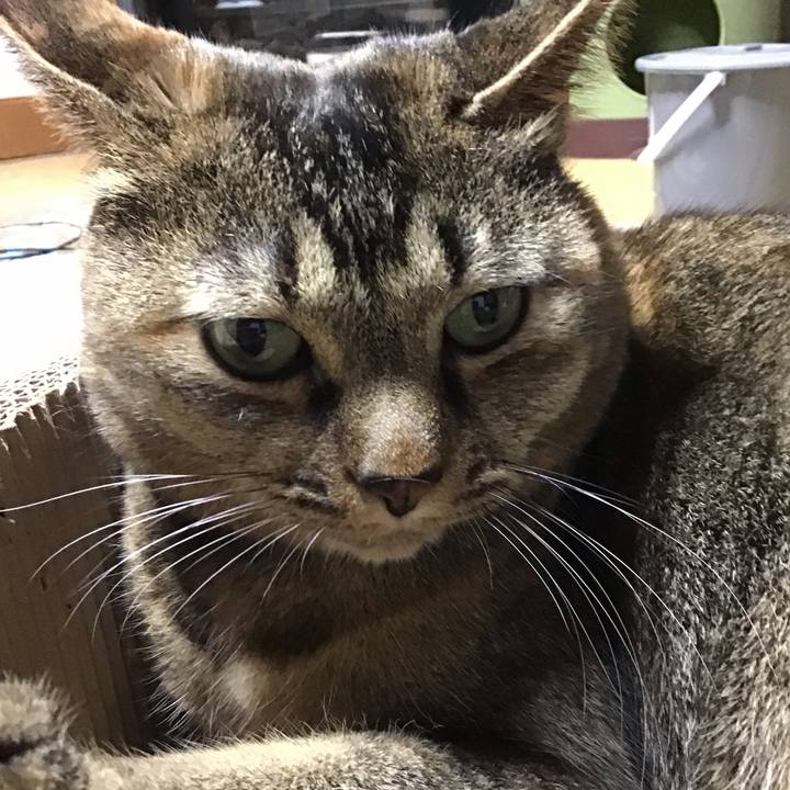 5f816547 40d6 4595 86f1 2d776af172af 1762940893504