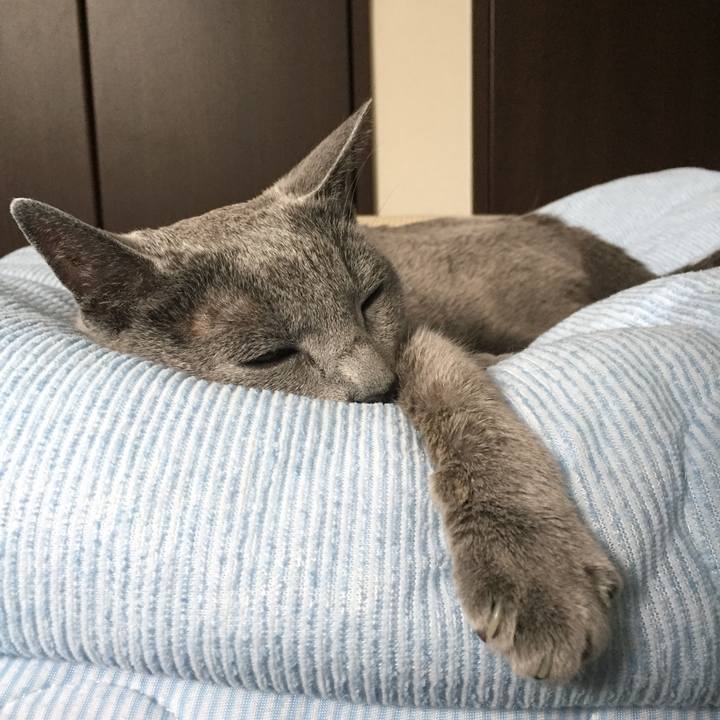 5f816b8e 8e48 412c 9c2c 8a216974dd88 1562022121406