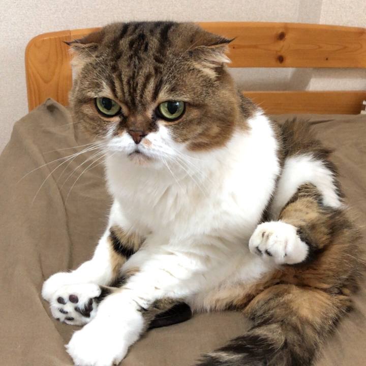 5f81746c 1ca6 4d5a b86a 319c4fc1716f 1539323944399