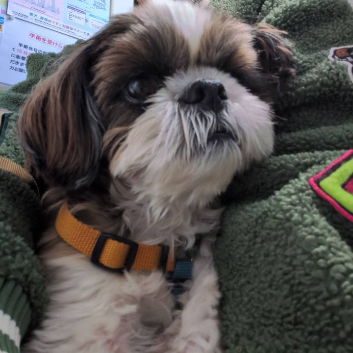 5f81a4ac 49e4 40ca 8f32 d78b07916b0a 1772876622722