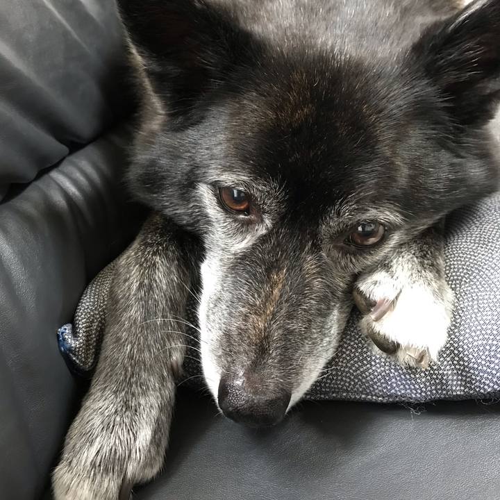 5f81b702 341e 4685 b7fa c0d984e1c828 1565832586284