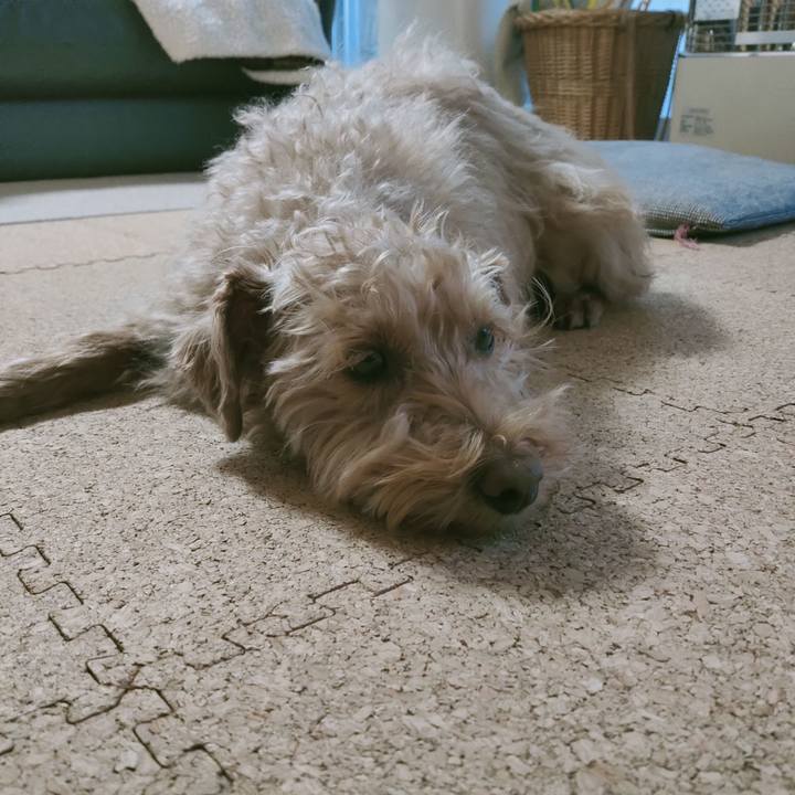 5f81bce7 ade1 4d33 89c6 7bcc875685ab 1613080196916