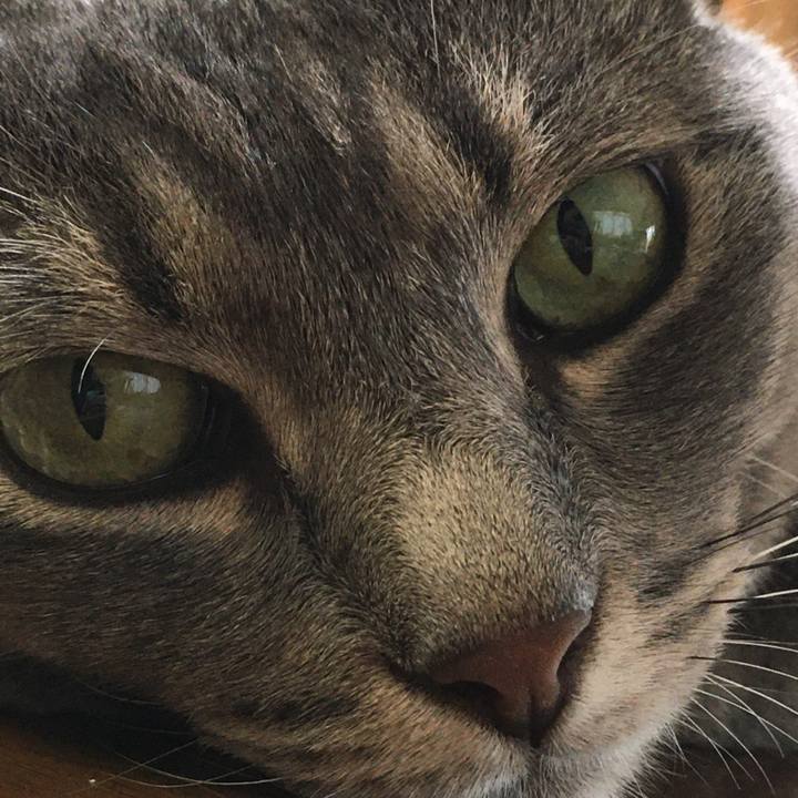 5f81cddb 8bbe 4023 b176 c5503d8a4f03 1598662442917