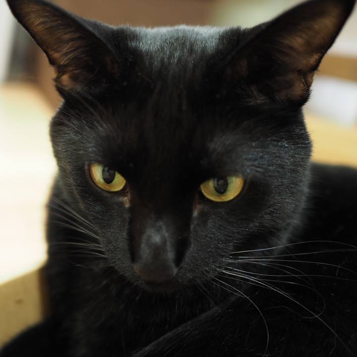 5f821e76 6490 4cce 8933 28f10de126da 1562802152935