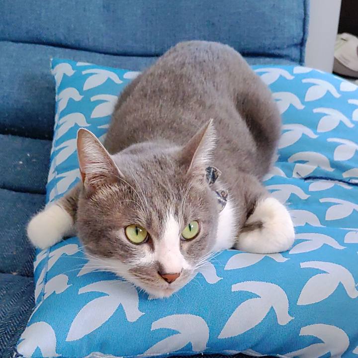 5f821f44 604a 491e 9400 f0f2ddeafb40 1706449988210