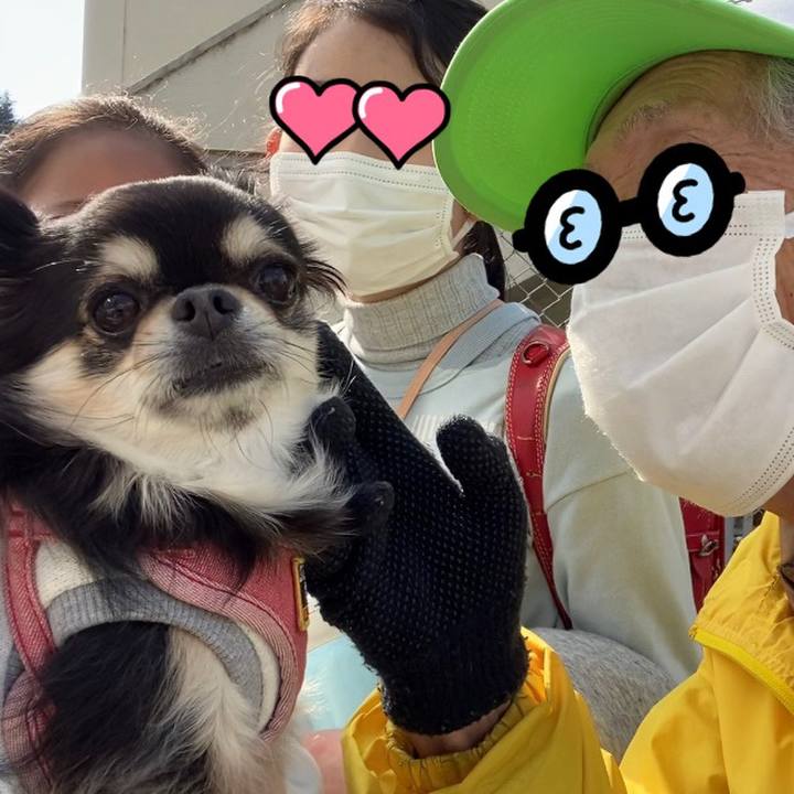 5f82958a 0540 461e 9c90 1a9813e904de 1646030062173