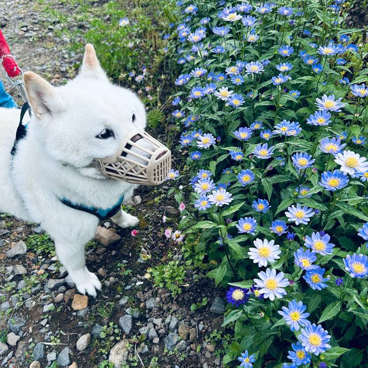 5f82b8cd 0f36 4784 8676 b014d69bfac6 1749848768881