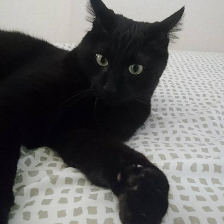 5f82d77d 6479 4fbf 8196 c96010a22112 1623898814196