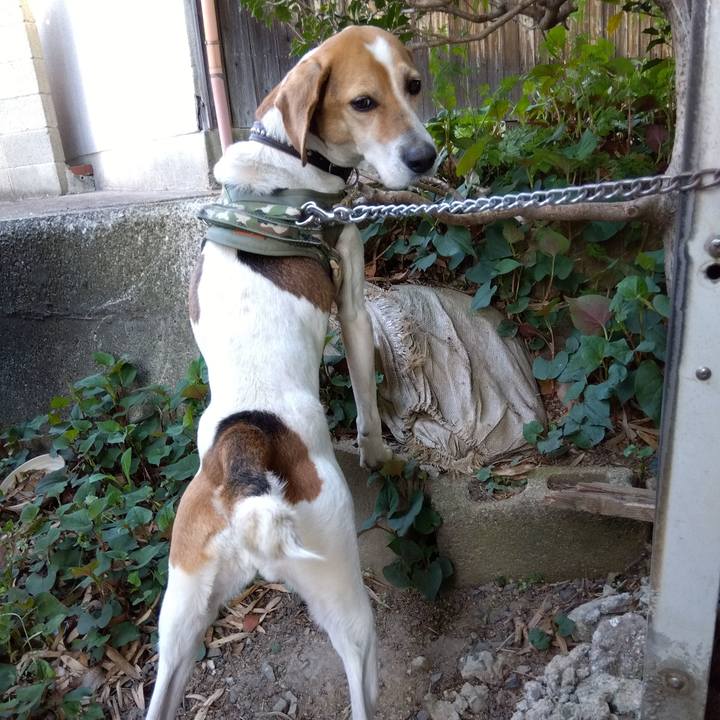 5f82e1e6 6d49 4188 8ae1 a0dd360913ca 1682165139319