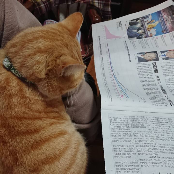 5f82f765 88c5 405e bfc7 ffa01a01a958 1586294379567