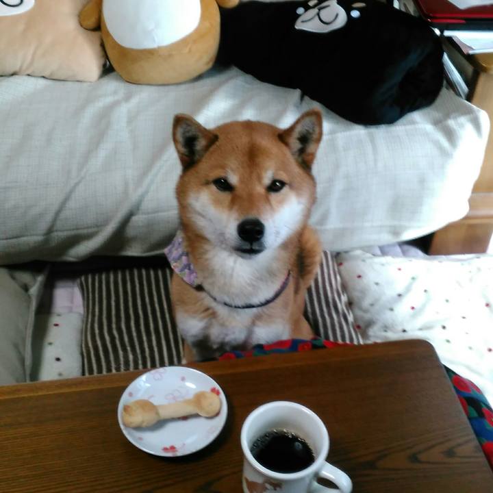 5f8305c3 6965 47fd 853a 2543bc3c1c37 1520399844660