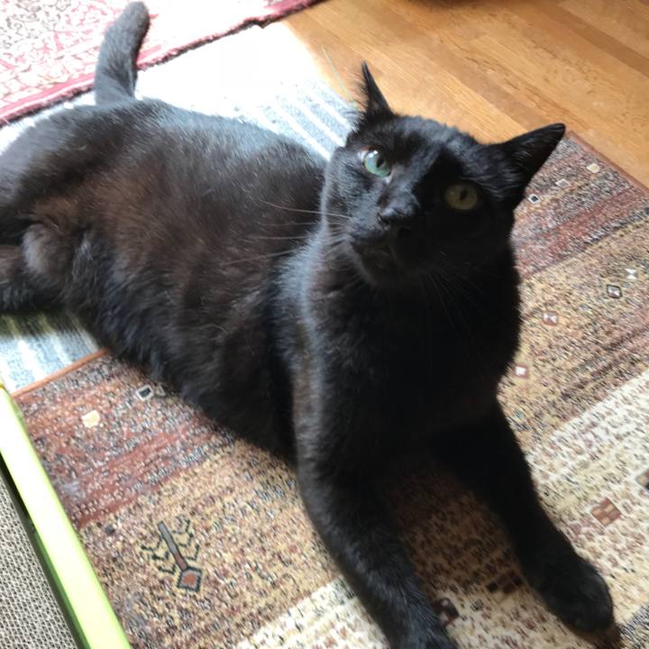 5f834fff 02c1 4d7a b13a a40568cf53ee 1530579071207