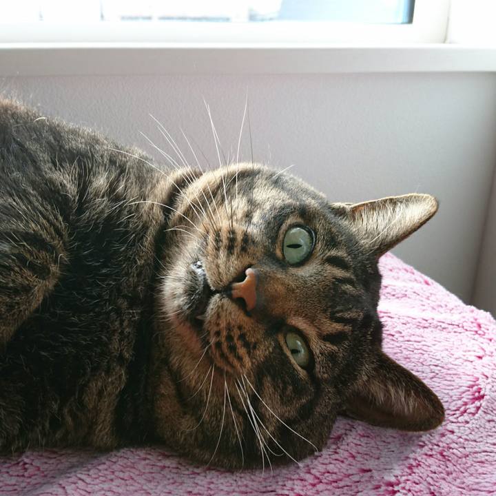 5f836540 50bb 44e0 9e14 138b0799a853 1511866735756