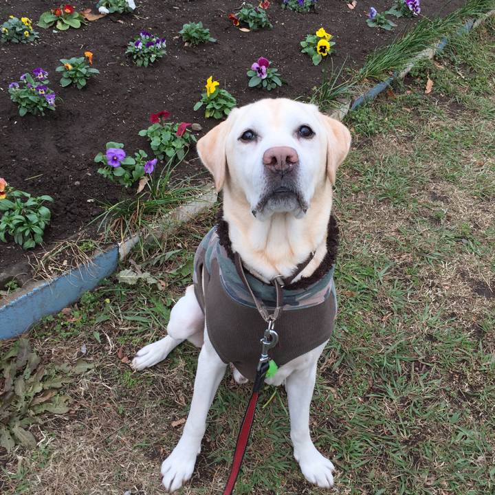 5f8392d7 3d9d 4a3f 947a f11cb5145268 1544698784781