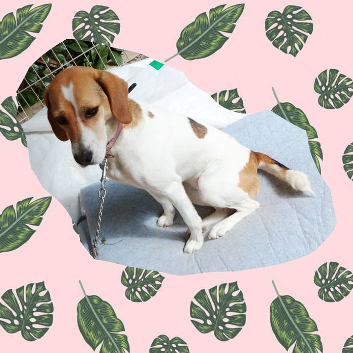 5f83b4ac c6e5 4714 9bf2 76ae15a42305 1592648409255