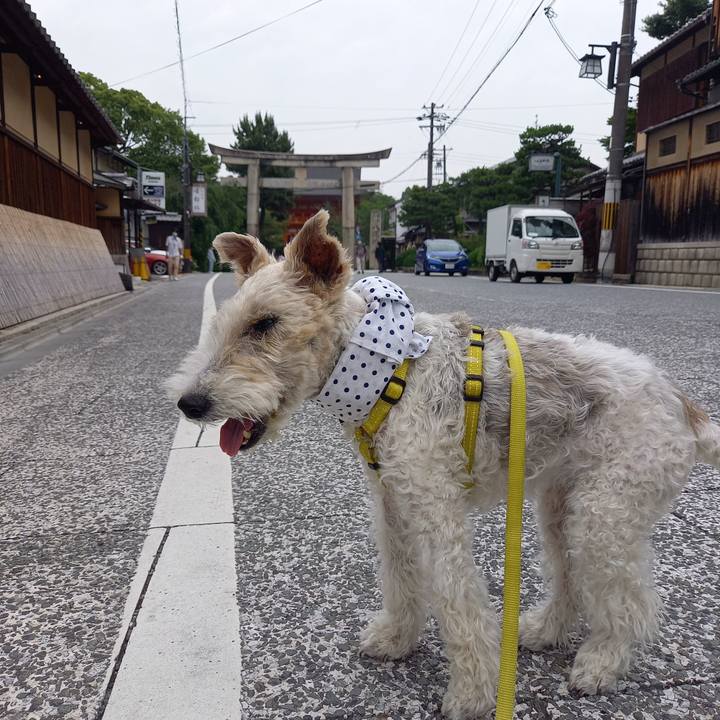 5f83f6bb 0a98 474b bc97 34e28aca00b4 1655543891596