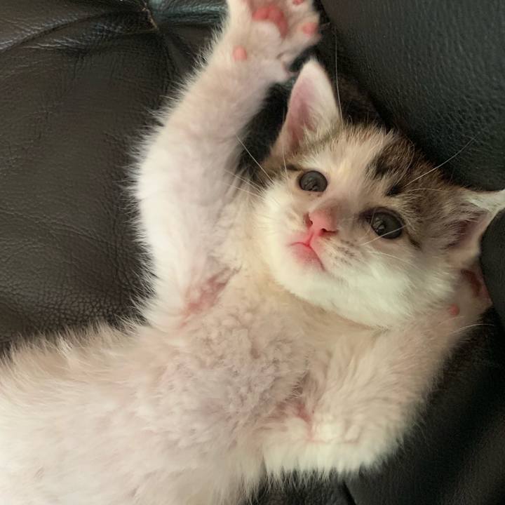 5f84187f 1d55 404f 904f 0ac6a48f3513 1590366486376