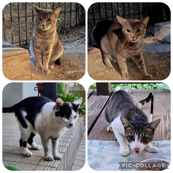 5f84232c 5be9 4747 853b cd1ee0e05f7d 1759224282636