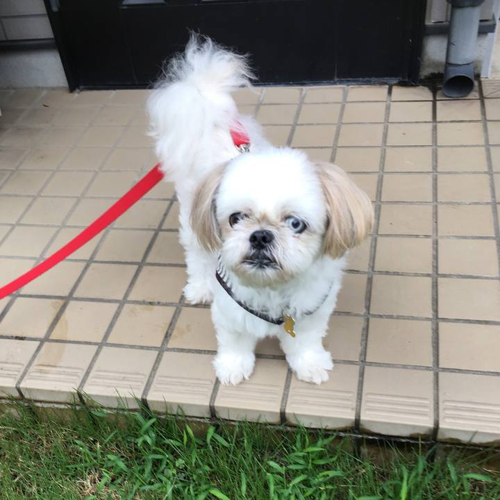 5f84371a 9c32 447c 8f0f 64be54d48b96 1600044916631