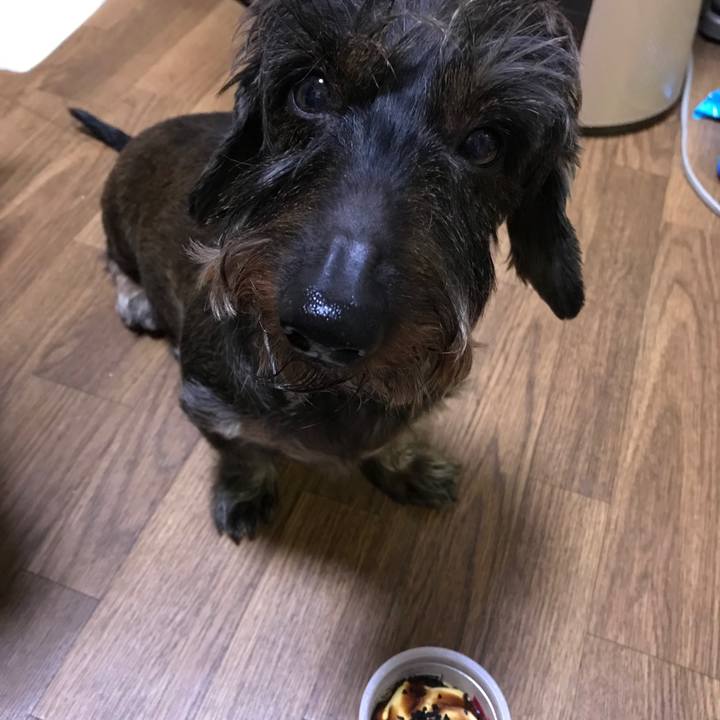 5f843853 52a2 4cd7 b7f2 6577e6b2ba3d 1544017821108