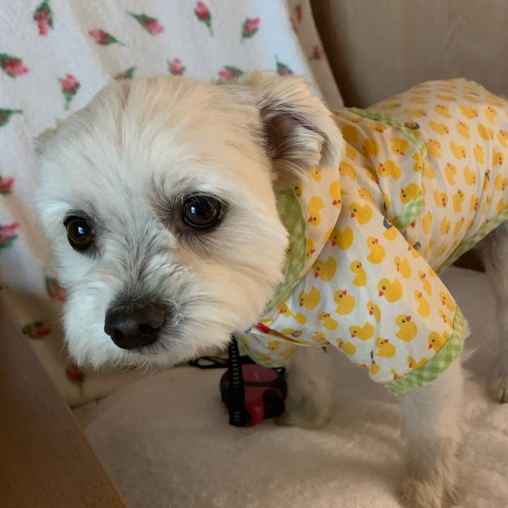 5f846dd8 489e 4797 b5c5 a91a506d7163 1588746486737